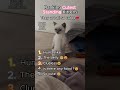 Ranking the CUTEST Standing Kittens 🐱🥹 #cutecats #aww #pets #viral #shorts #ranking #wholesome