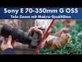 Sony E 70-350 mm f/4.5-6.3 G OSS | Telezoom für APS-C-Kameras im Test [Deutsch]