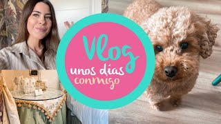 VLOG Viaje a BOLONIA (ITALIA)✈ Cómo ORDENAR la #despensa Véis a ROLLY, mi caniche toy