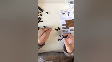 Building a DAISO Petit Block Giant Stag Beetle