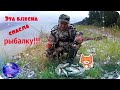 Эта блесна спасла рыбалку!!! Ночевка на Ангаре!