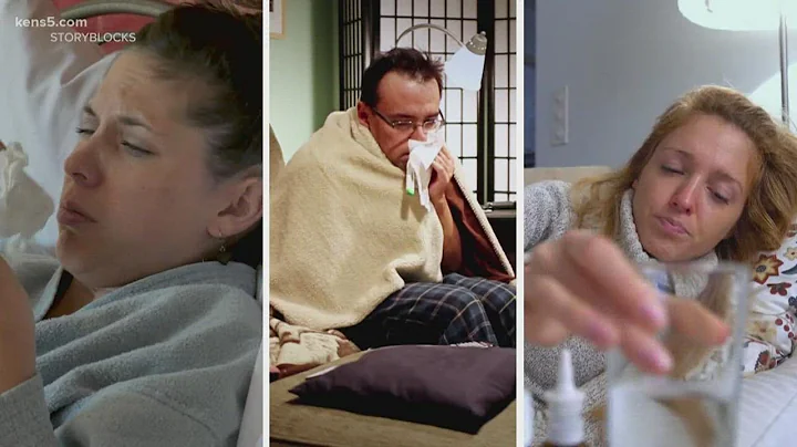 Bird flu found in poultry stock | VERIFY