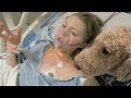 🏥 OUT OF SURGERY & REUNITED WITH SERVICE DOG! 😍 (12.7.16)