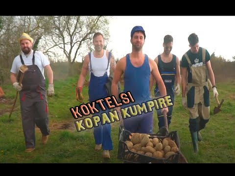 ® KOKTELSI  - KOPAN KUMPIRE, BEREN JABUKE   (Official Video FullHD) CMC fest 2021