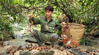 Catch crabs, pick up mountain snails to sell. Buy new sandals. Binh's new daily life