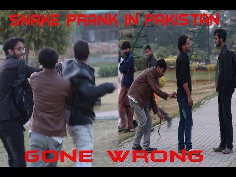 snake-prank---prank-in-pakistan-gone-wrong---shugal-pindi