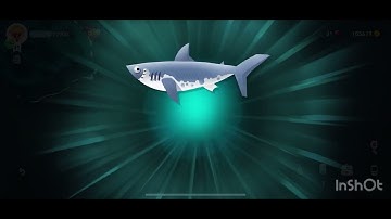 Salmon Shark..Alaska..Creatures of the Deep