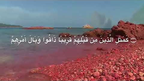 خواتيم سورة الحشر الشيخ العراقي هيثم الدخين