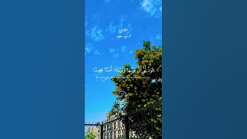 تلاوة خاشعةً بصوت جميل #القارئ #سيد_سعيد #قرآن #اكسبلور #راحة_نفسية #foryou #حالات_واتس #لايك #تيك