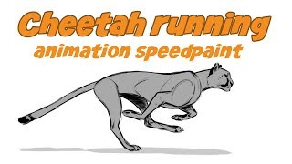 Cheetah run animation speedpaint