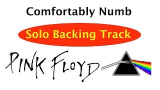 Pink Ployd - Comfortably Numb | Solo Backing Track |