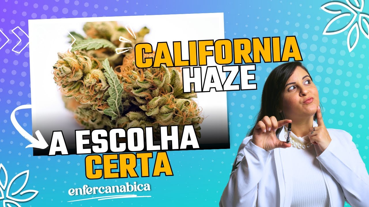 STRAIN REVIEW: California Haze l Enfercanabica