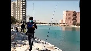 Fishing in Dammam Khobar Saudi Arabia ( Daming Huli )