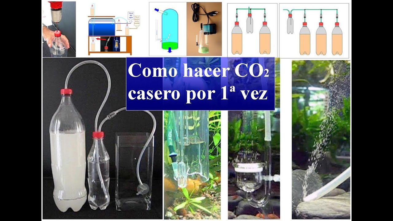 Cómo hacer Co2 casero para acuario con levadura, FUNCIONA