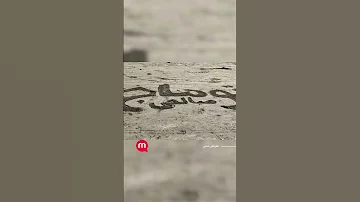 به یاد توماج صالحی در ساحل گیسوم 