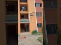 2 Bedroom House for Sale in Adeboruwa Housing Estate Ikorodu Lagos | Property for Sale