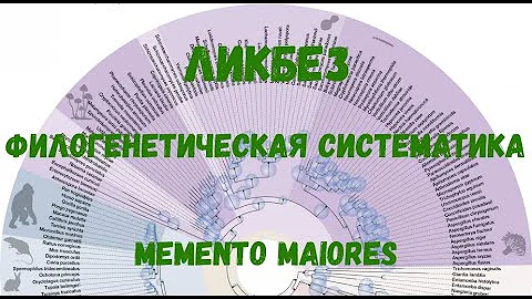 ЛикБез. Филогенетическая систематика. Помни о предках