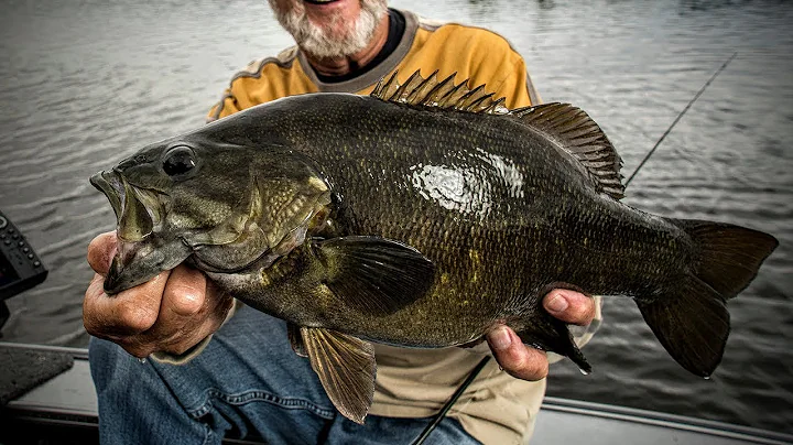 All-Around Smallmouth Lures