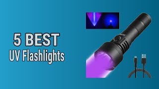 5 Best UV Flashlights