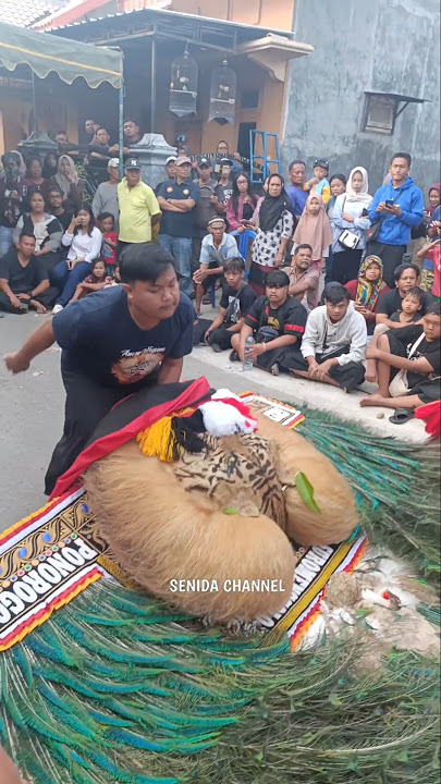 Pembarong Ganteng Angkat Dadak Merak
