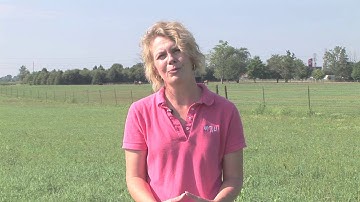 Horse Pasture: Grazing Considerations