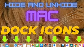How to Hide and Unhide Mac Dock Icons