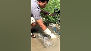 cleaning garbage Clog Drain After Rain flooding #plastic #remove #cleaning #shorts #unclog #flood