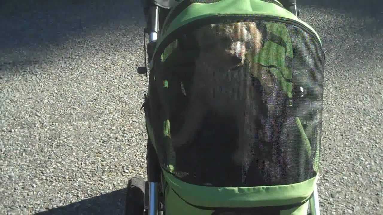 the dogger dog stroller