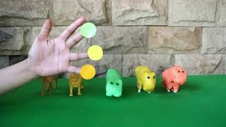 Belajar Nama Hewan dan Mengenal Warna | Kuda, Sapi, Babi, Harimau dan Macan