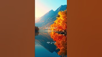 قران كريم ارح قلبك وسمعك #قران_في_دقيقة #المصحف #quran #المنشاوي #قرآن @قران_في_دقيقه