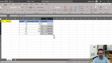 Level 2 Excel Lesson 1