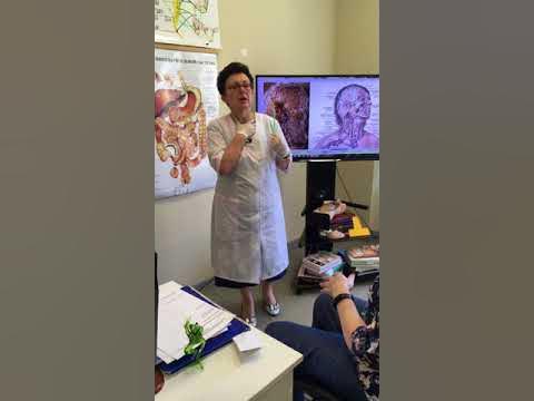 Сердце - YouTube
