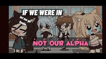 If me and my friend were in "Not Our Alpha" glmm | inspired | gacha skit