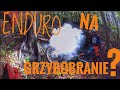 Enduro Grzybobranie 2019