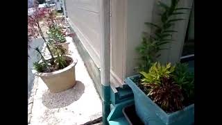 Download Lagu Burung bunga 2 MP3