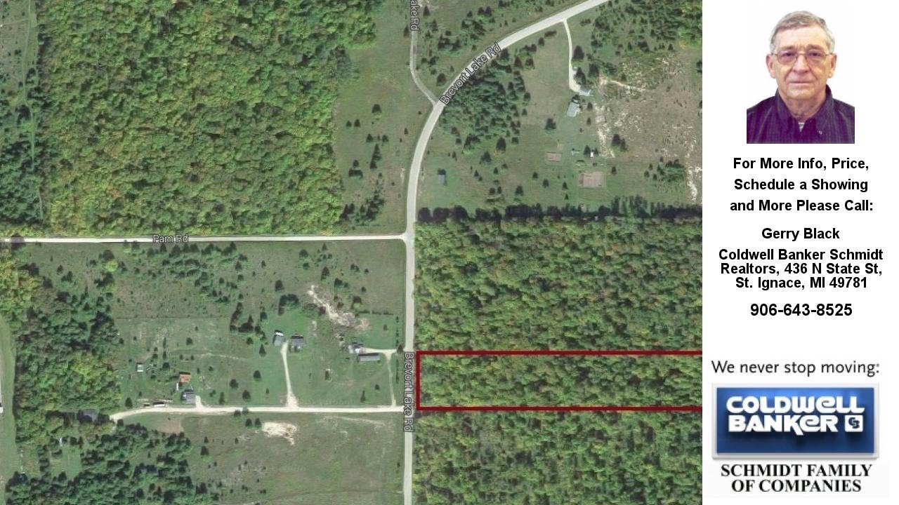 0 BREVORT LAKE RD, Moran, MI Presented by Gerry Black.