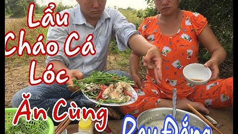 Đi Cắm Câu Đêm Ao Bông Súng Về Nấu Lẩu Cháo Cá Lóc Rau Đắng