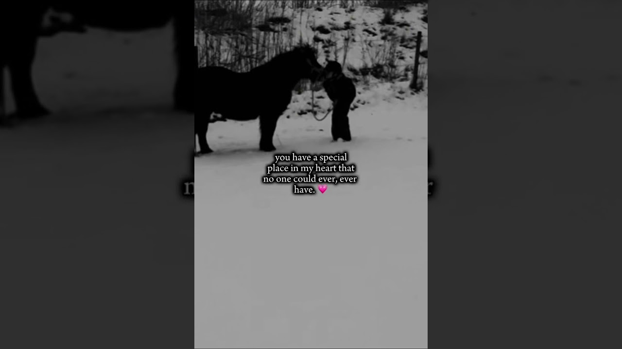 He has a special place in my heart, is there a horse that has a special place in yours?🐴❤️‍🩹