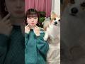 君にいいことがあるように🥤 #ストロー #aiko #コーギーのいる暮らし