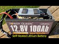 Power Queen 12V 100Ah Heated LiFePO4 Battery, Near-Identical Inside?