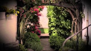 Hitchcock's Garden - The Vertigo Effect