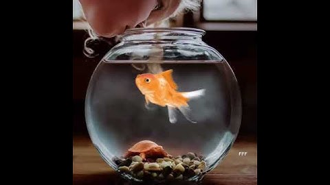 اذكار الصباح سبحان الله وبحمده