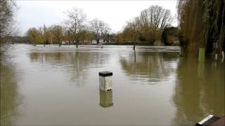 Flooded Thames And Loddon River 2012