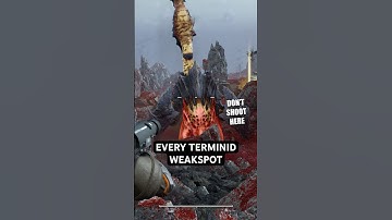 Best Weakspots for Terminids in Helldivers 2