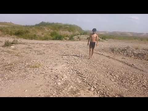 اليووم سبحت العيد