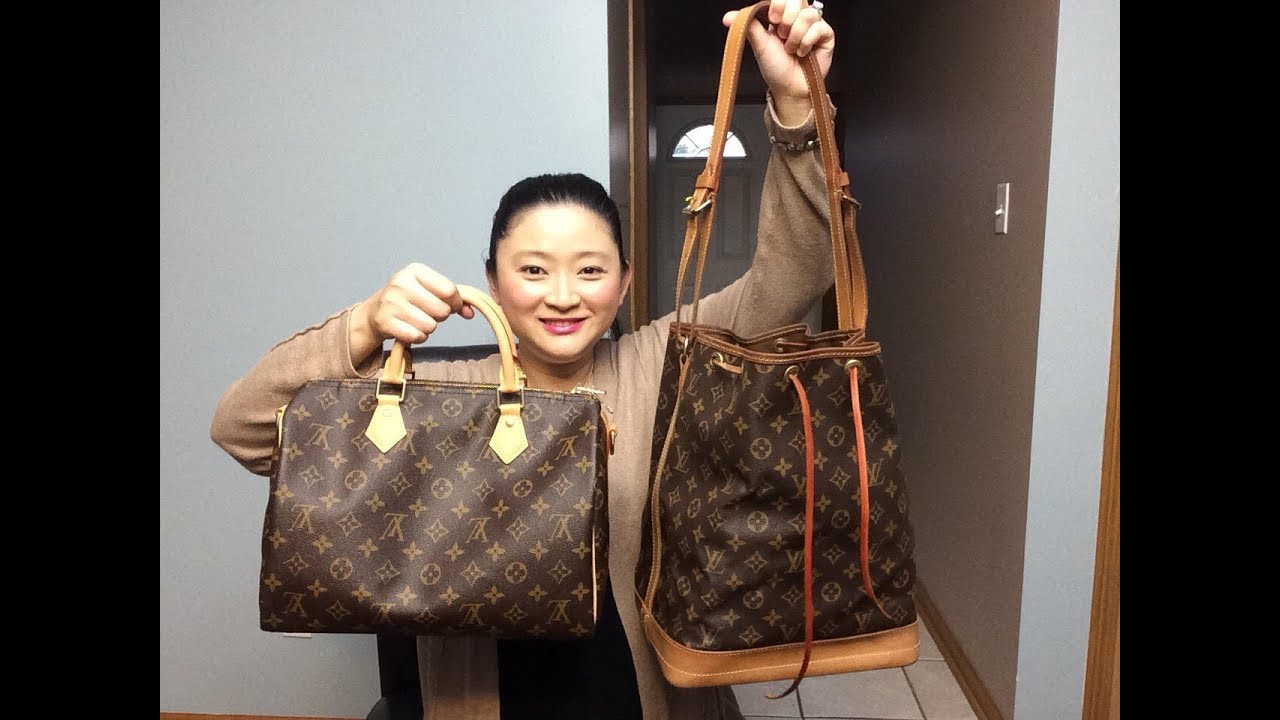 Louis Vuitton Noe vs Speedy Bandouliere 30 | What can fit with or without an organizer ...