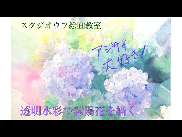 透明水彩で描く紫陽花 ー スタジオウフ絵画教室 - YouTube