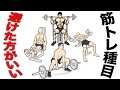 ジムで避けた方がいい種目【筋トレ】八つの空しい運動法【トレーニング】