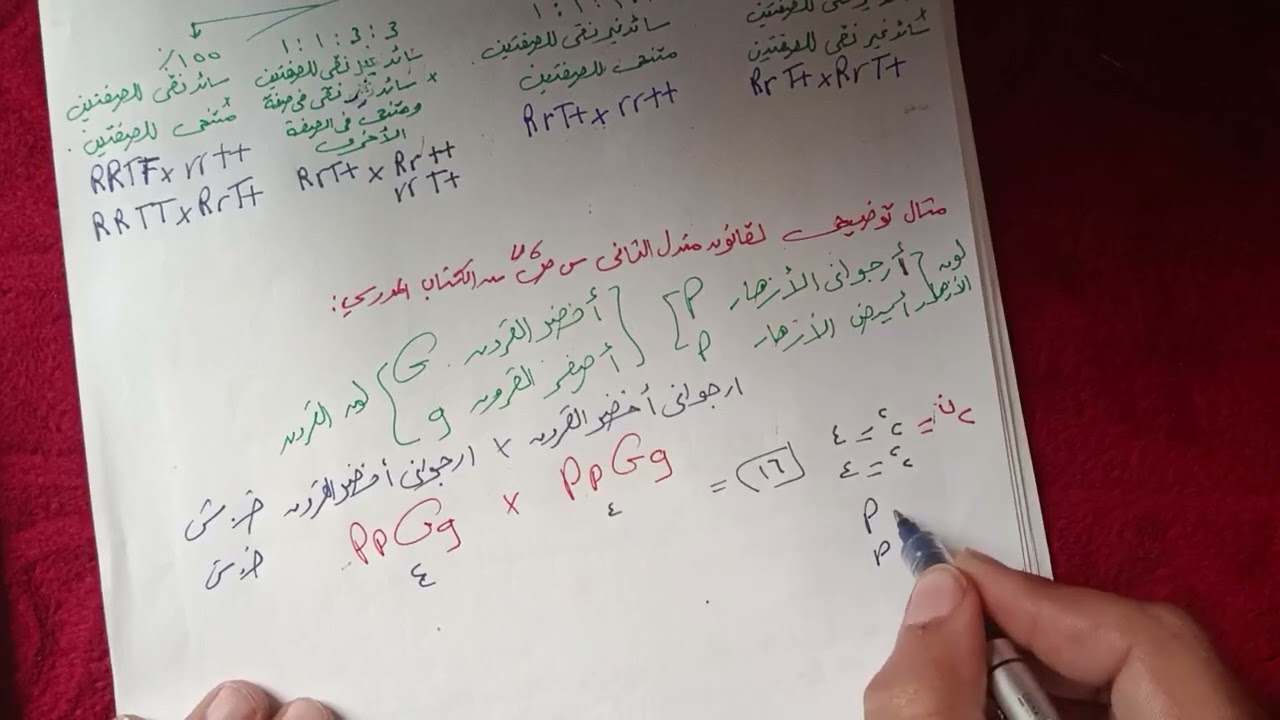 قانون مندل الثاني 