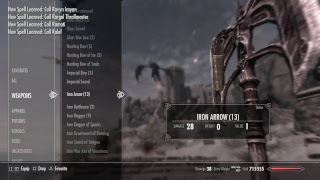 Skyrim SE- spawn any npc mod fun